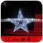 Christmas Star Lights for Shopping Mall Decorations
