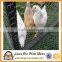 welded wire mesh panel chicken cage
