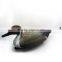 Plastic hunting pintail