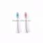 Dupont Nylon Head Hot Selling Toothbrush Head for Audlt and Kids