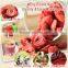 Freeze-Dried Strawberry Slice