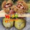 Wholesale Chestnut Organic Fresh Chestnuts for sale