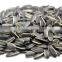 Sunflower Seeds Chinese Seed for Bird Feeding