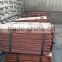 High quality and low price copper cathode 99.99% 20