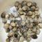 unpeeled Volvaria volvacea 50kg drum whole straw mushrooms salted brined Volvaria volvacea price