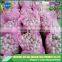 Export ginger & garlic 10kg and 20kg/mesh bag