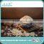 Latest Crop Dry Sweet Apricot Kernel Nuts in Shell for food industry