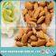 Bitter Apricot Kernel for Medicine/Snack Killer of Cancer