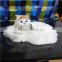 Simulation cat Home Decoration doll stuffed white cat life like