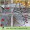 automatic laying cages for quail