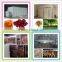 2015 new invention widely used energy saving pepper dryer