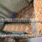 Hot sell Stainless steel snack mesh conveyor belt dryer
