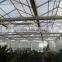 Galvanized steel structure glass covering greenhouse