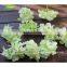 FLH010-2 artificial hydrangea flower petals for wedding flower decoration