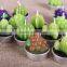 Cactus and Grape Plant Birthday Scented Candle