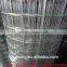 Low Price Galvanized Welded Wire Mesh Factory/2014 new brid cages