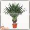 Hot sale Decor indoor Artificial sisal hemp tree decoration home artificial sisal hemp tree decor indoor office