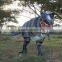 Walking T-rex