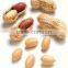 Arachis Oil