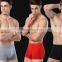 10 pcs/lot 5 colors for choice 93% cotton and 3% spandex 4 size cheap price mens underwear boxers
