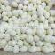 Professional High Efficiency Stainless Steel Quail Egg Peeler