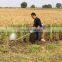 rice /wheat rice reaper bundler /Wheat Cutter with binding facility