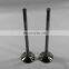 For cummins diesel engine M11 intake valve 4926069