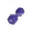 Chinese Wholesale Women Use Colour Dumbbells Neoprene Pair Gym Equipment Dumbbell Set