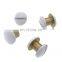 brass flat chicago screw for holster