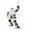 Assembled RoboSoul H5S 16 DOF Humanoid Robot Programmable Robot Education Dancing Robot