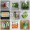 Automatic Fresh Food Vegetable Fruit Plastic Bag Packing Packaging Machine