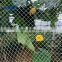 Bird Net Wholesale Knitted Anti Bird Net For Garden Fruit Vineyard Agricultural anti bird net