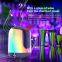 TWS Dual Pairing Portable Wireless Speaker Booming Bass Loud Stereo LED Flashing Light Outdoor Bluetooth Speaker