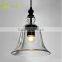 Clear Glass Shape Hanging Edison Bulb Vintage Pendant Light
