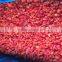 Frozen Red Pepper