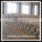 Glass Fiber Mesh Geogrid 200/200KN