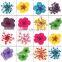 Stickers & Decals 3D Dry Flower, Mix 12 Color Decoration Real Dried Flower for Nail Art Decoration ZX:GH742