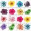 Hot sell nail art natural dried flowers for nail art decoration,nail accessory ZX:GH746