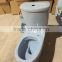 NX650 P-trap drainage pattern colored toilets