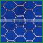 Supply 3*100' foot Hot Dipped Galvanized Hexagonal Wire Mesh