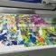 new products digital printing machine price direct to garment printer with best price