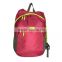 2016 new design cheap cool lightweight day backpack for spring season travel