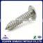 Self tapping philips cross recessed screws
