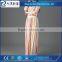 economical adult lady girls party dress oem factory