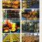 XCMG wheel loader main drive axle spare parts disk brake final drive axle hydraulic axles