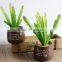High Quanlity Succulent Plants For Decoration Artificial Plants Succulents Wholesale