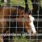 galvanized woven wire field fence, sheep wire fence with post, grassland fence specification