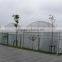 plastic film greenhouse Polyethylene film multi span agriculture greenhouse