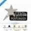 Cheap Custom Star Lapel Pin
