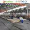 Eucalyptus core veneer for plywood